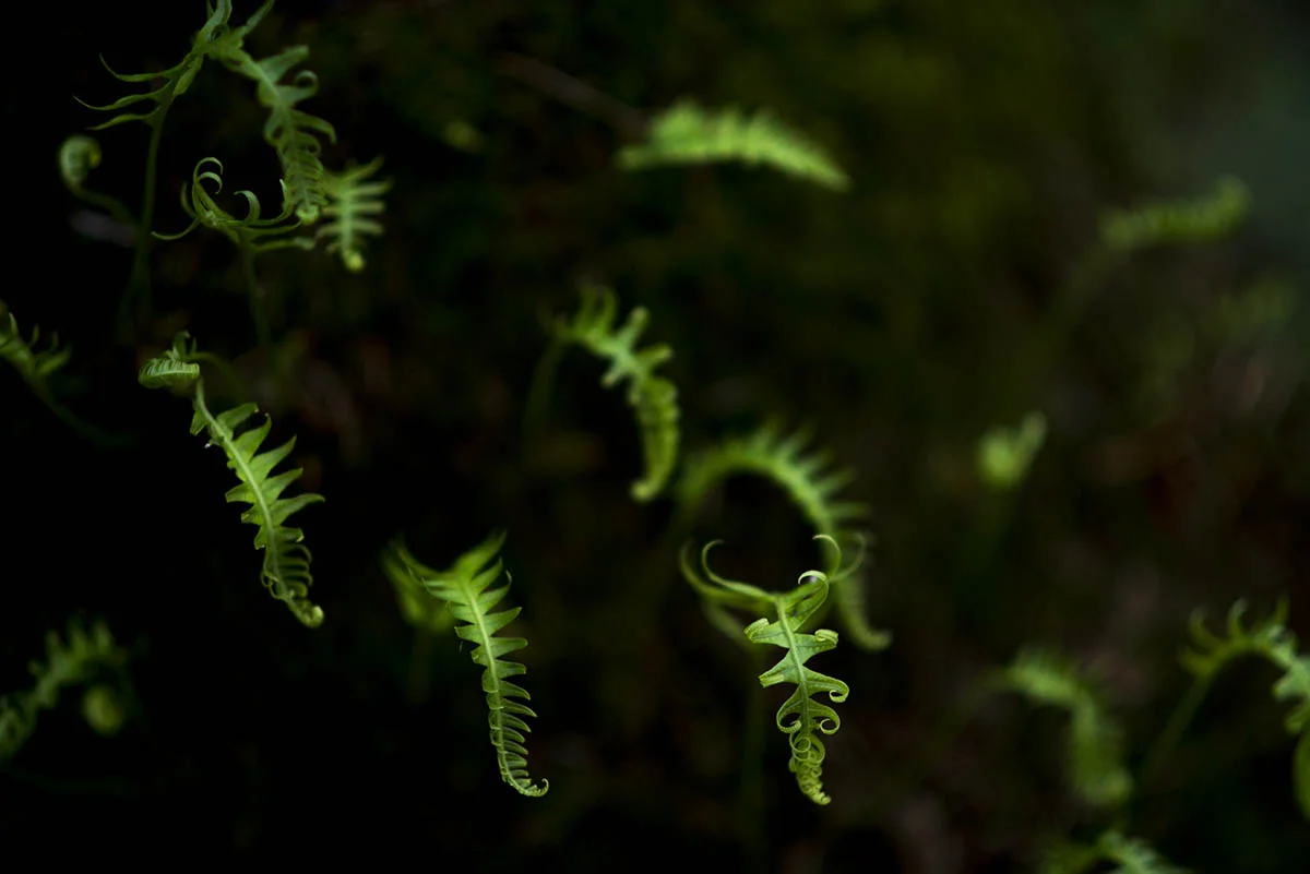 20160911_016.jpg