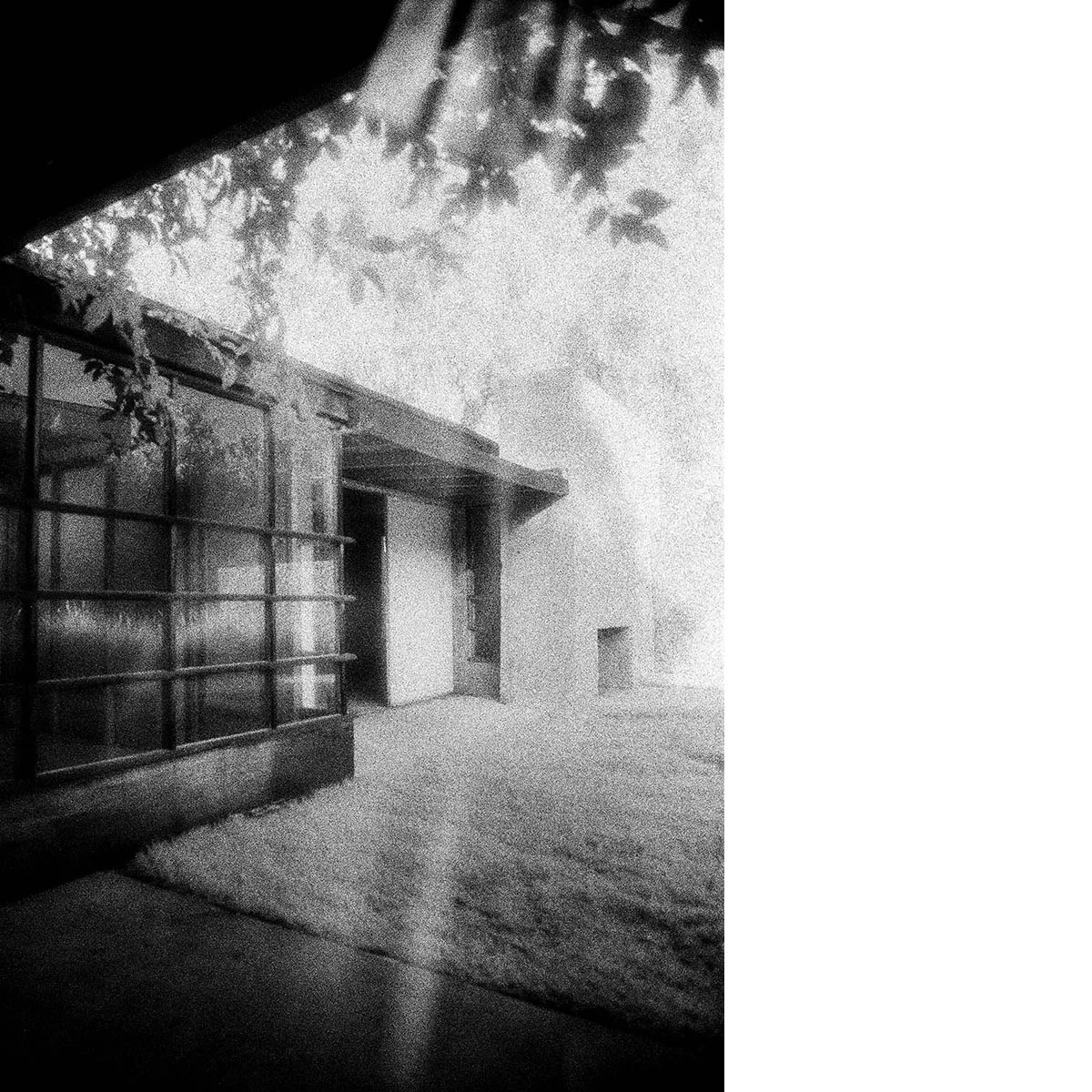 20130205_Schindler'sHouse_Infrared_009.jpg