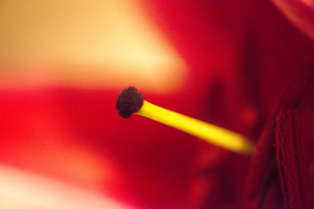 20181127 _024.jpg