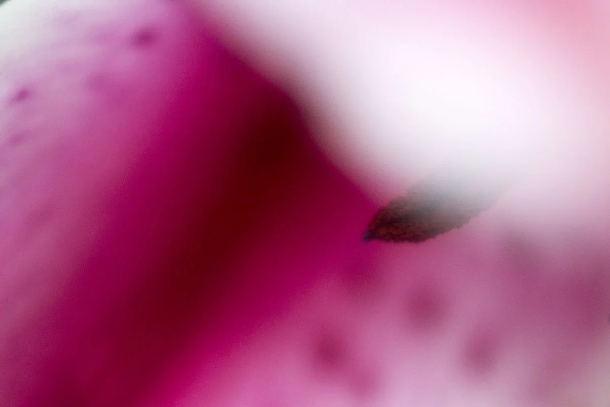 20181202_002.jpg