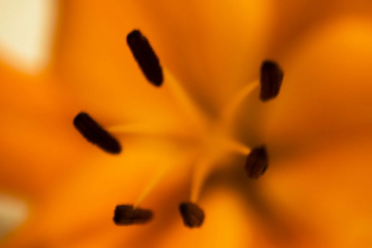 20180329_014.jpg