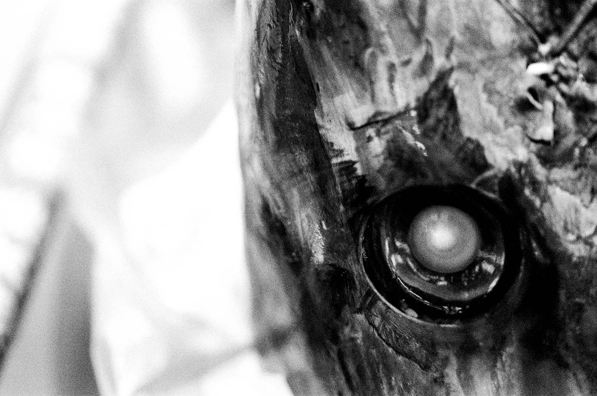 Tsukiji Fish Market, Tokyo