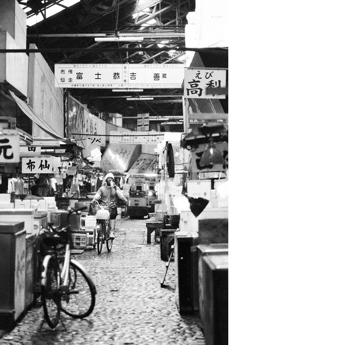 Tsukiji Fish Market, Tokyo