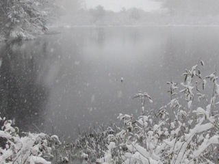 Shaker Pond