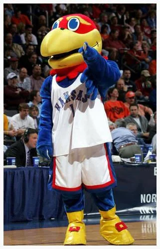 Jayhawk mascot from the University of Kansas (photo source: about.com)