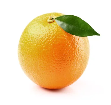 orange(Fotolia).jpg