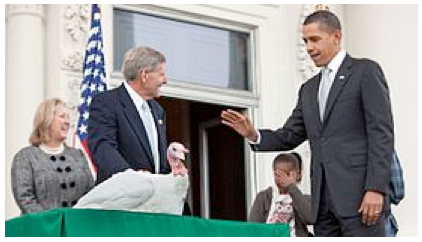 President Obama pardons a turkey prior to Thanksgiving.