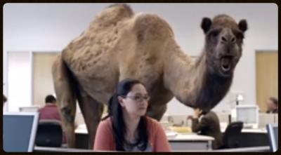 CamelOffice.png