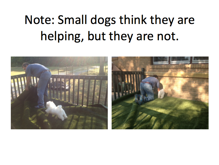 kennel13.png