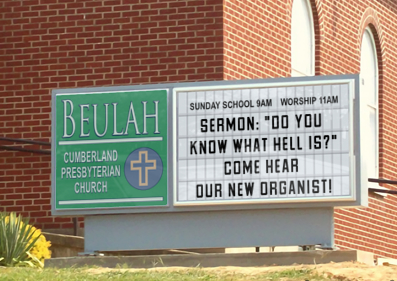 New_Organist.png