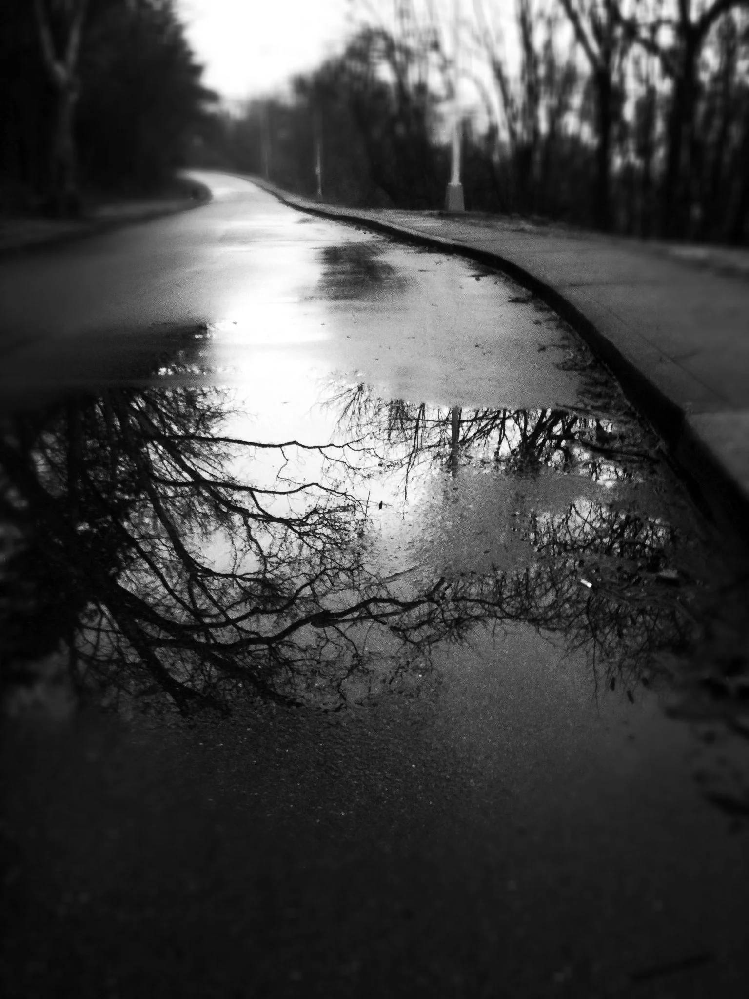 IMG_1760.jpg
