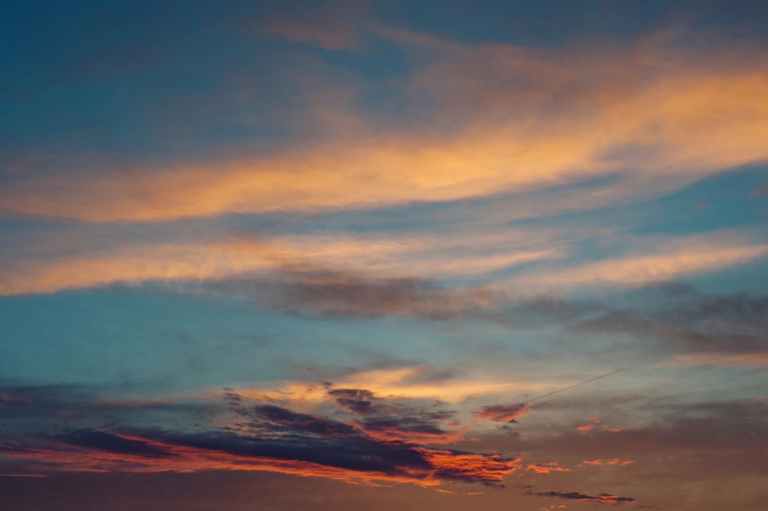 _DSC3746.jpg