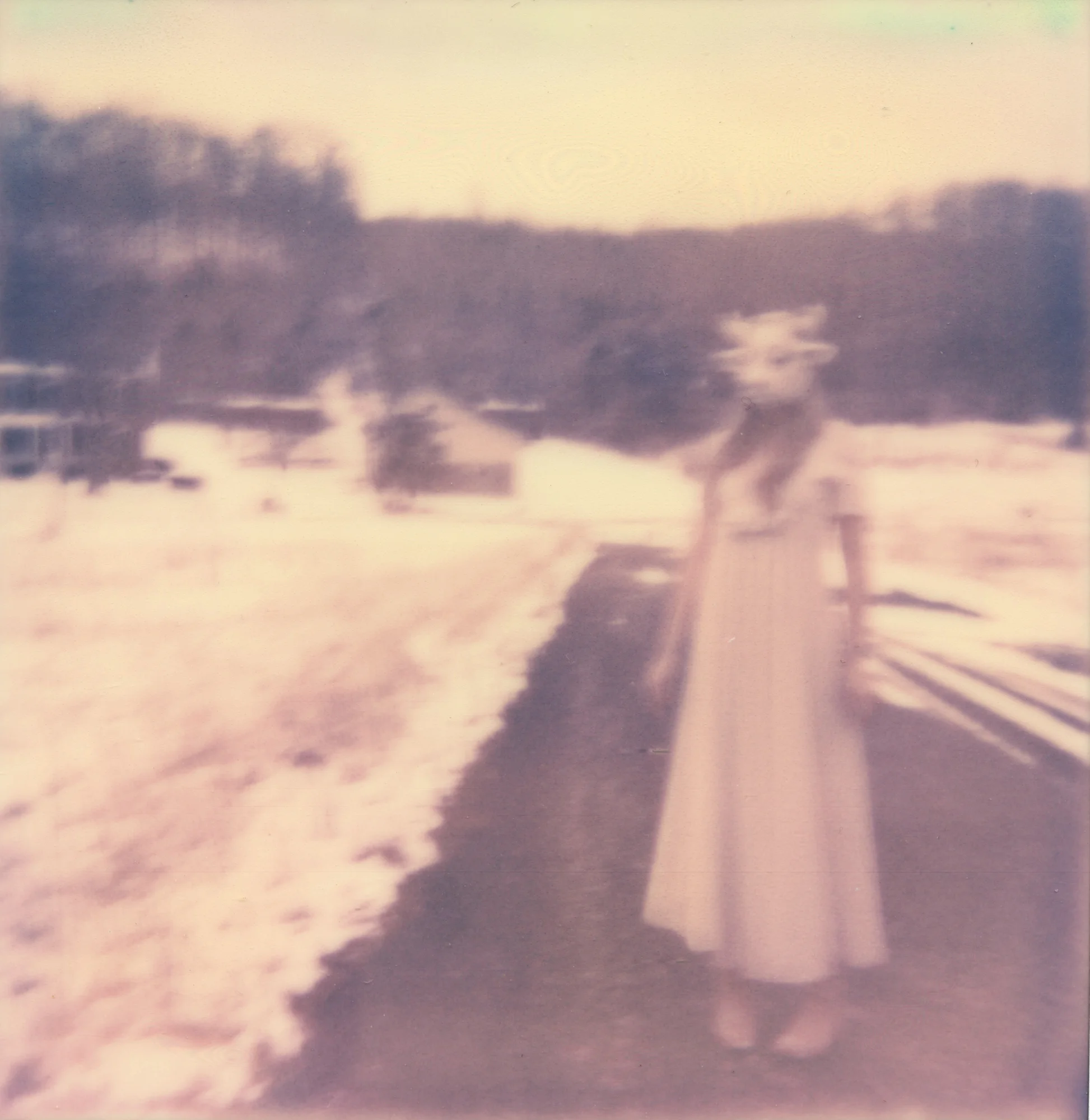 jillsnow028a.jpg