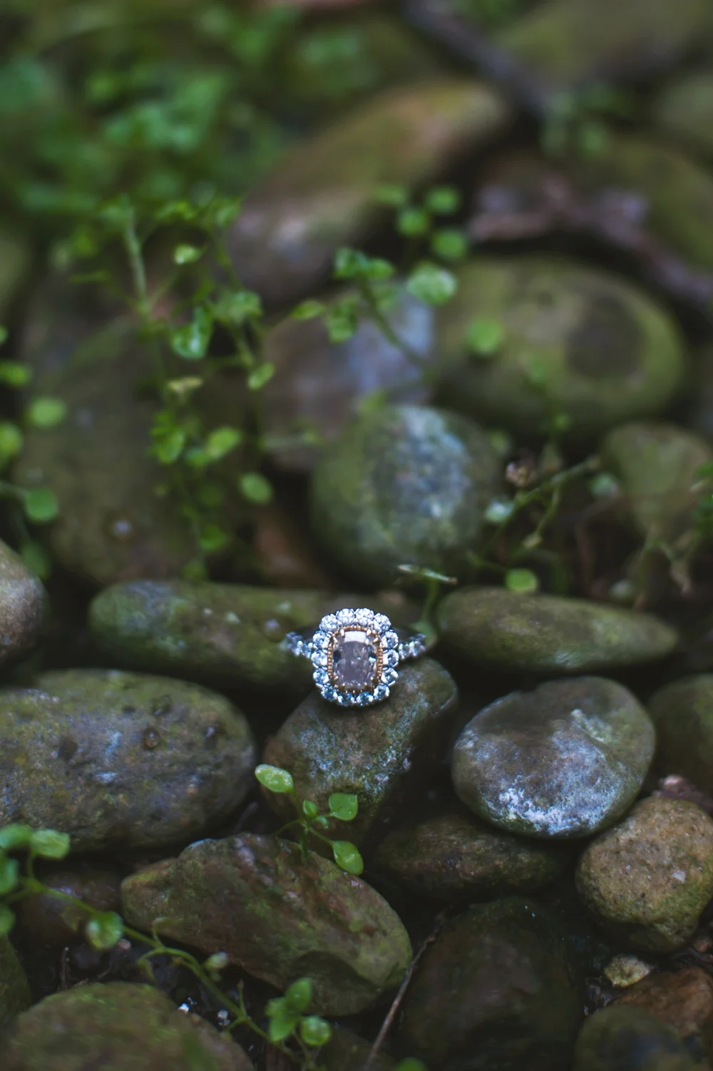 ashevillewedding029.jpg