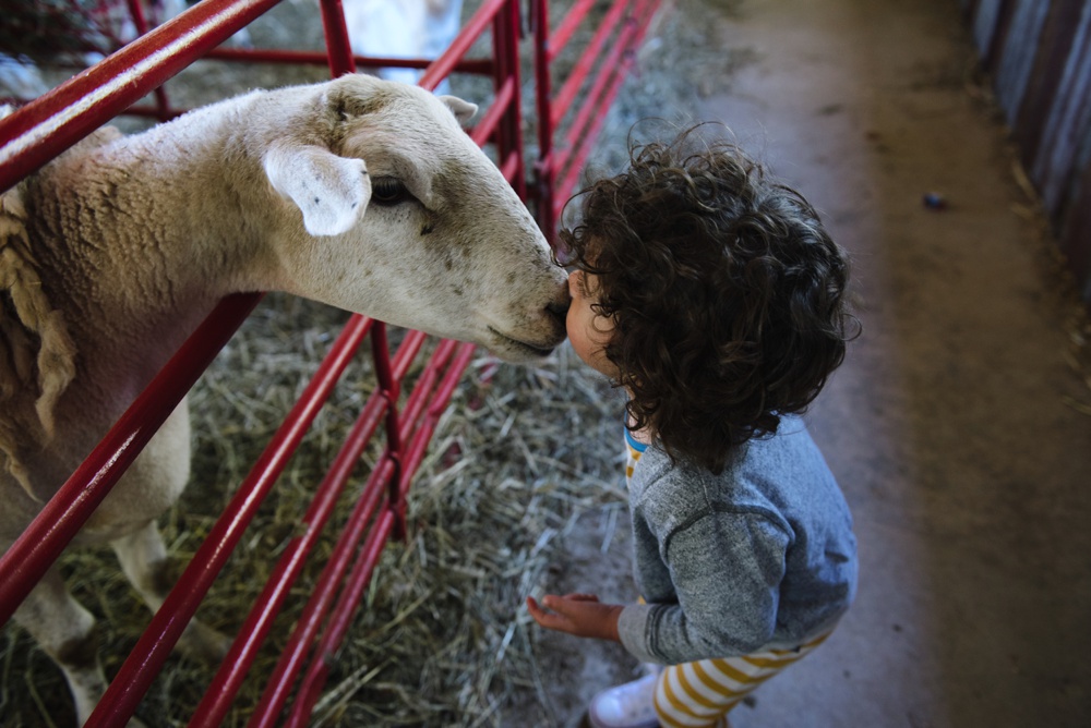 neltnerfarmfamilyphotos_3910.jpg