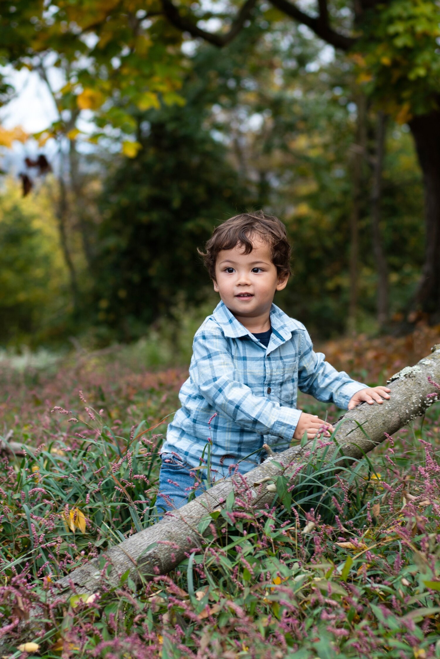 family_cincinnatiphotography_5593.jpg