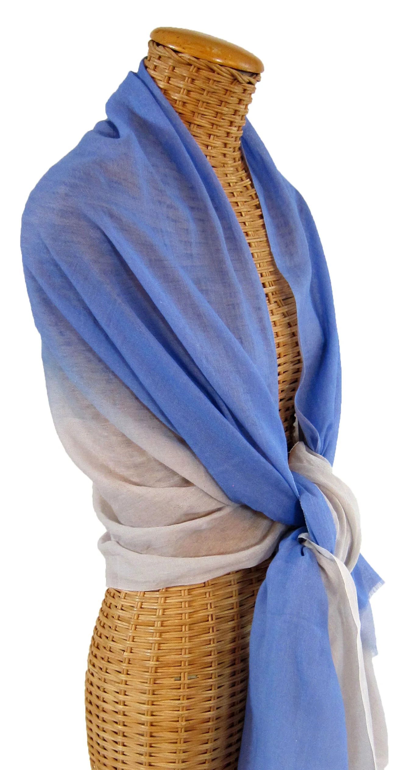 blue 4.jpg