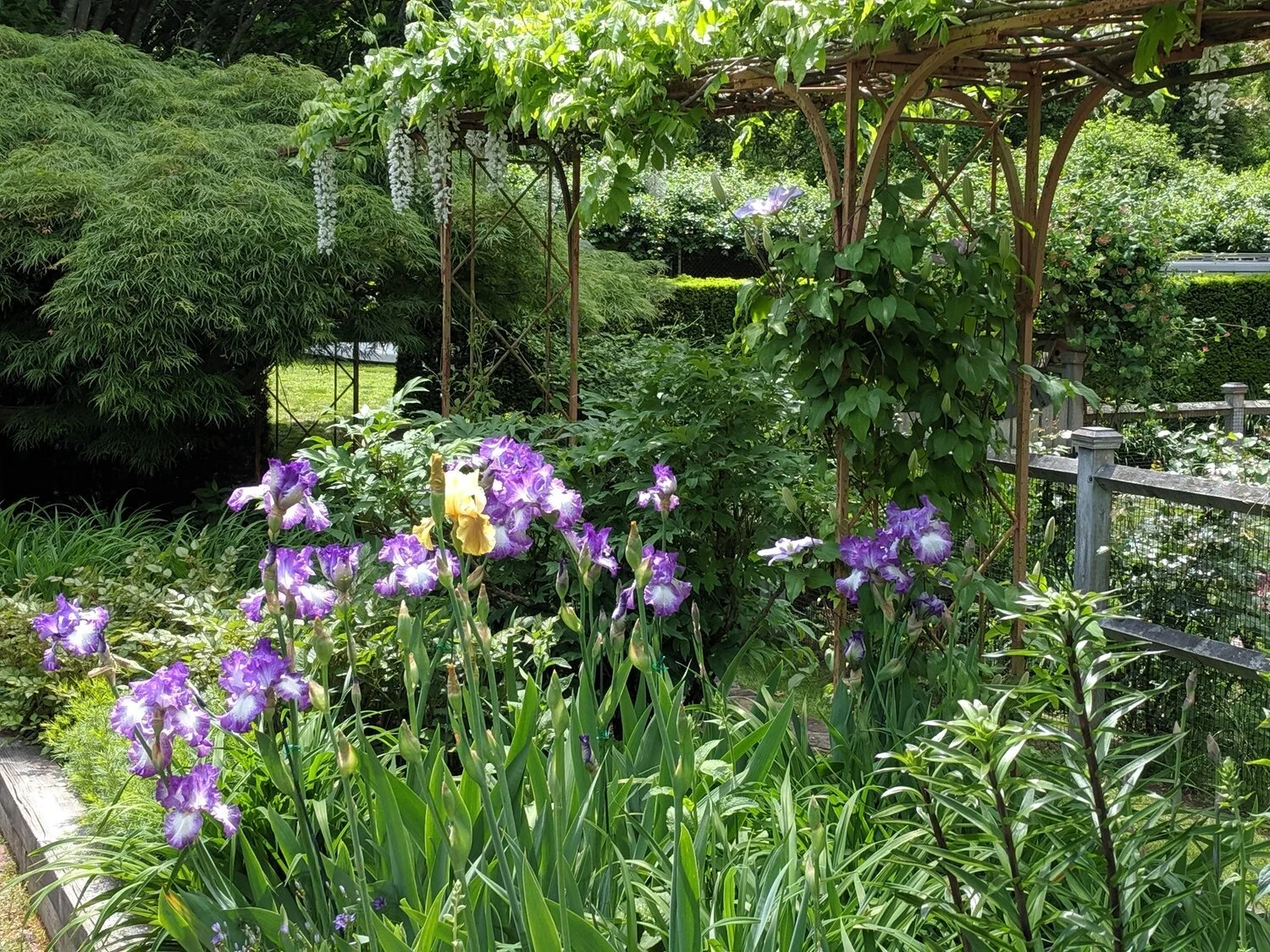 Brandford Garden Club -  Flower Show Marketplace