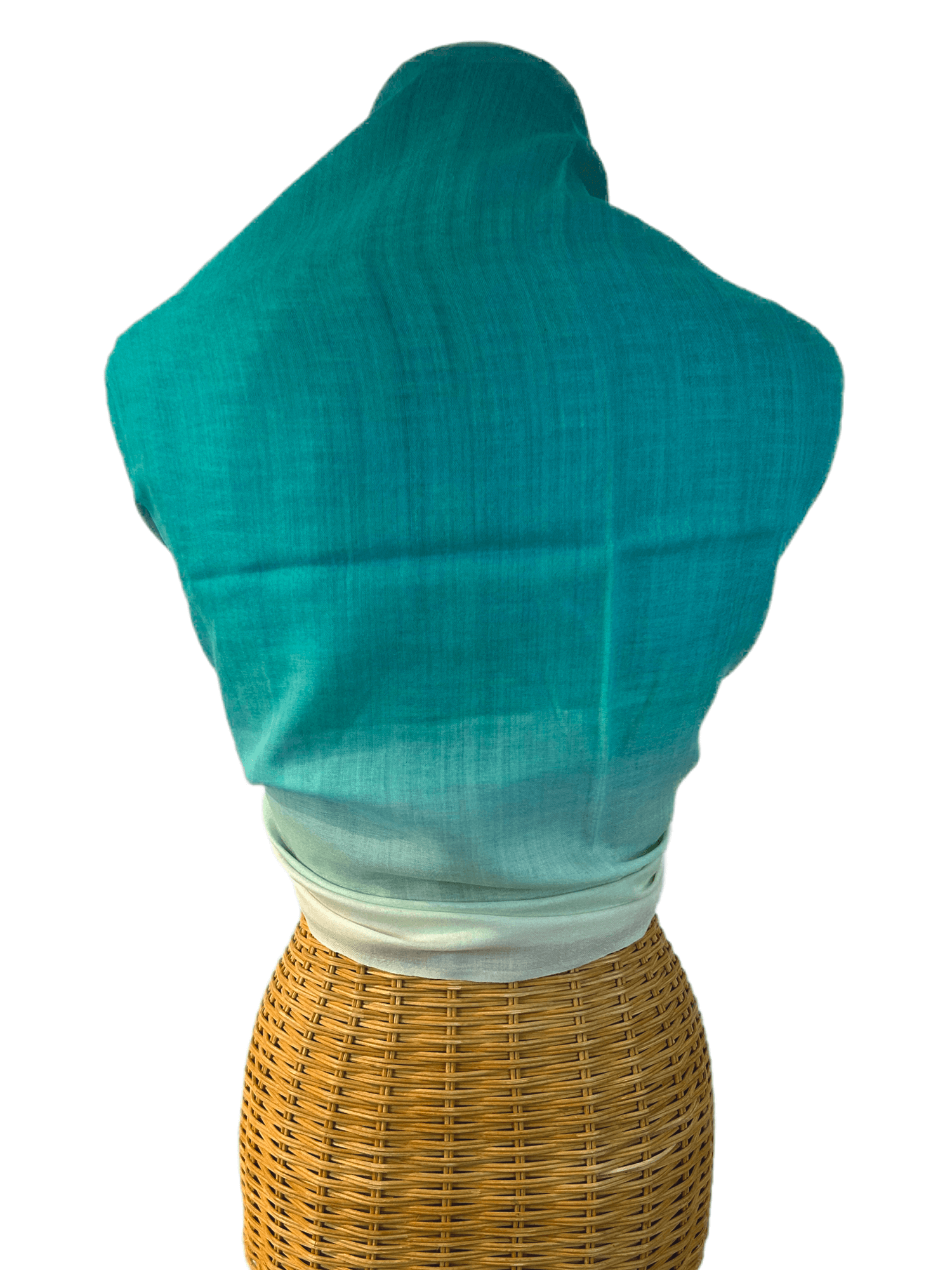 Ombre-Turquoise-Back.png