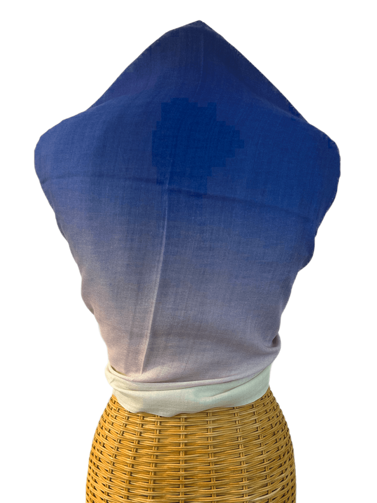 Ombre-NavyBlue-Back.png