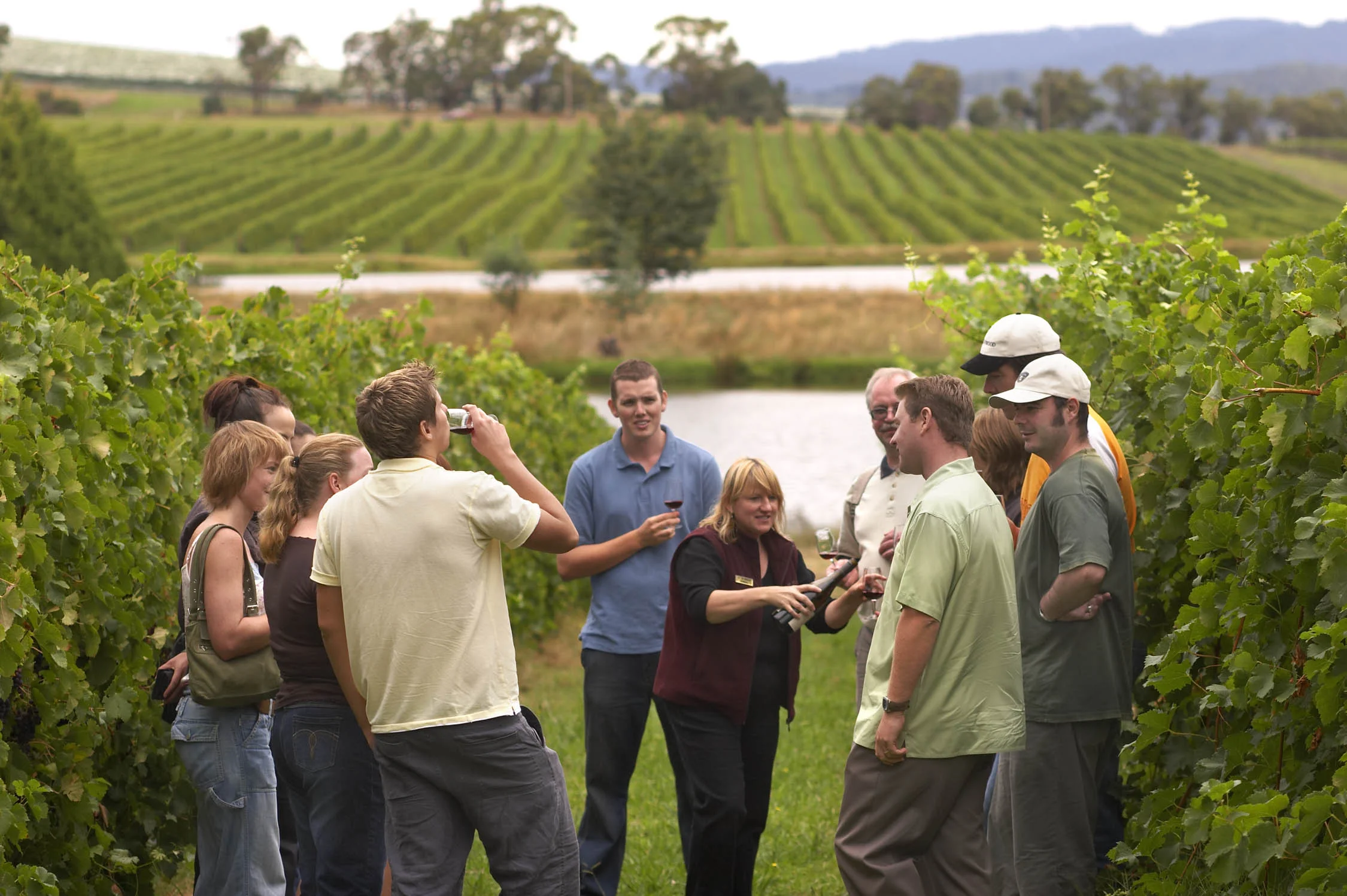 wine_tour.jpg