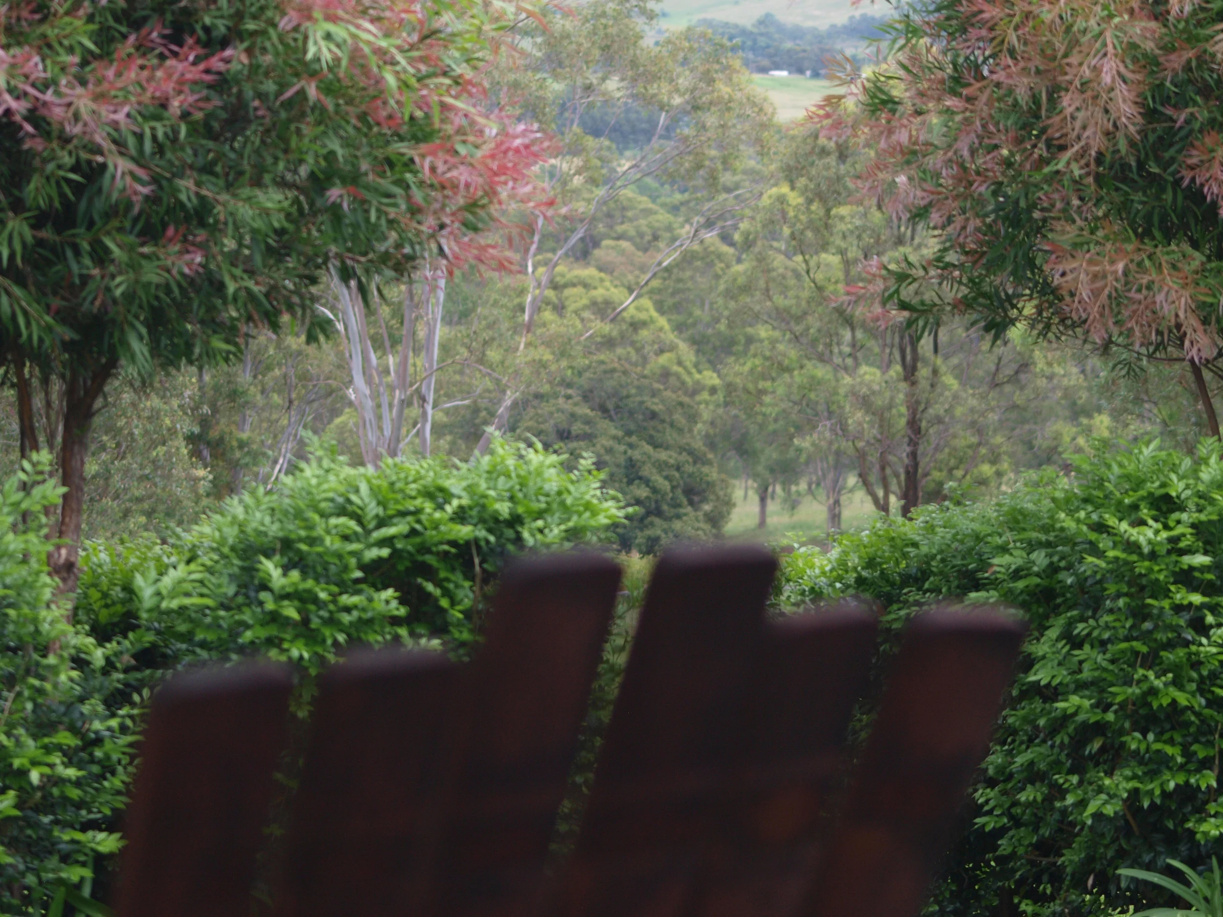 P2268540.jpg