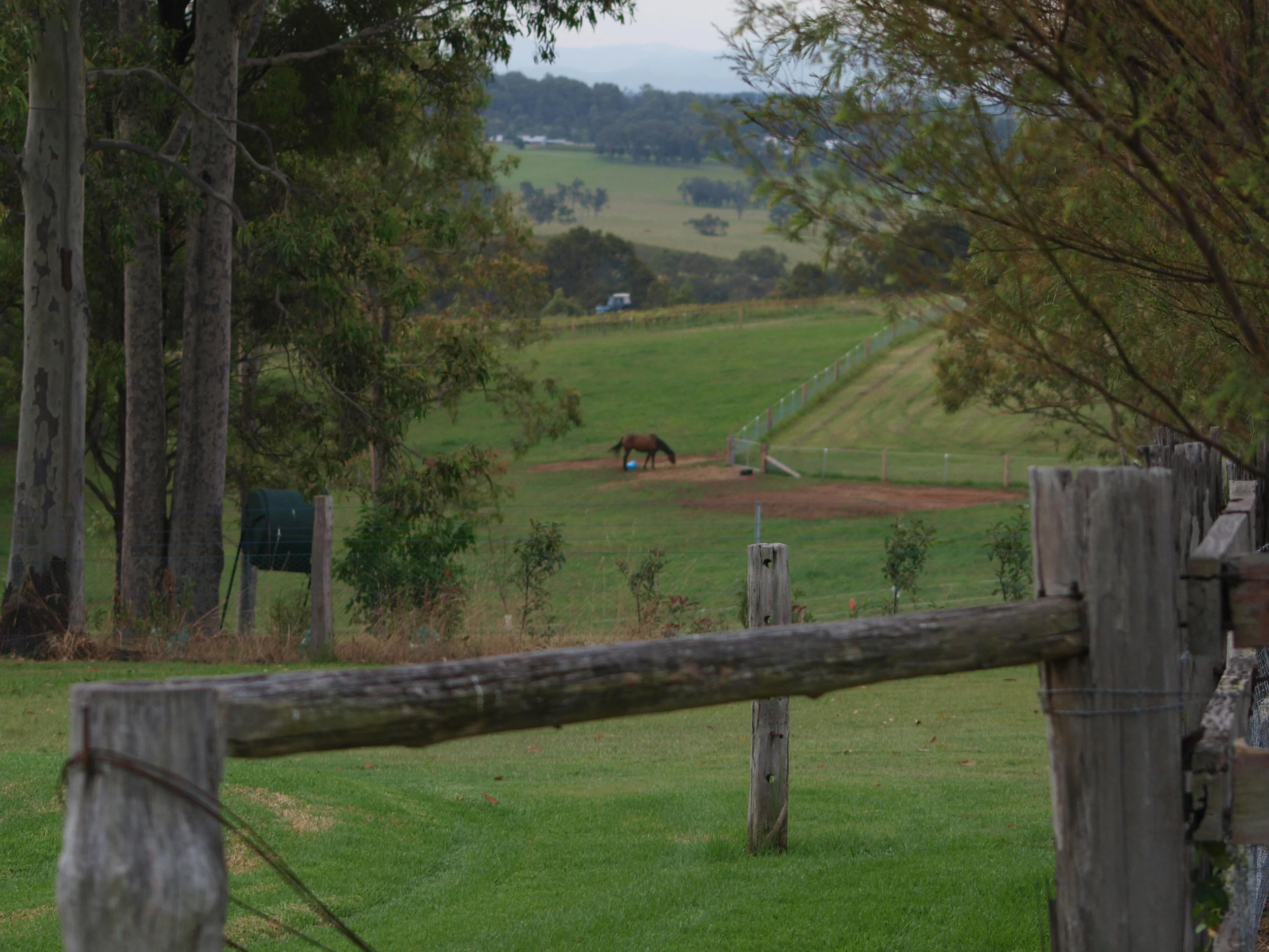 P2278592.jpg