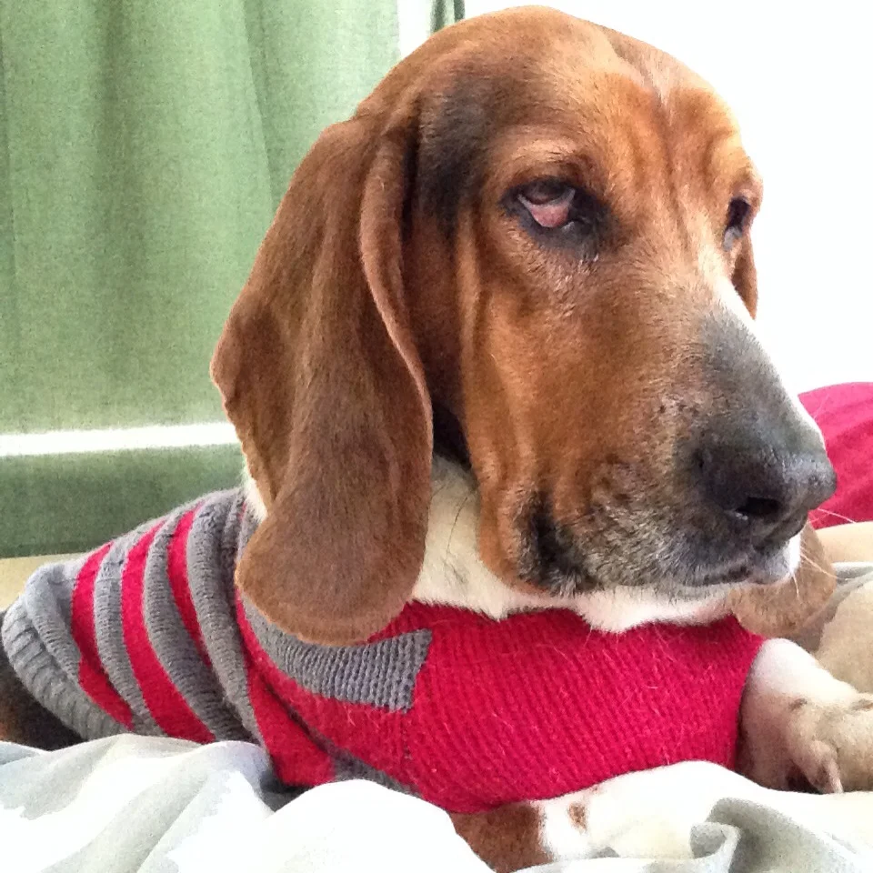 Caring for this special guy