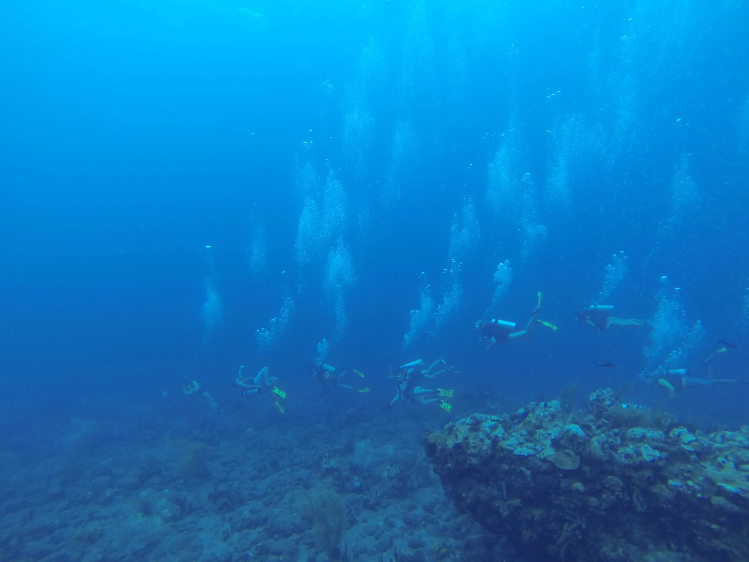 dive 2.jpg