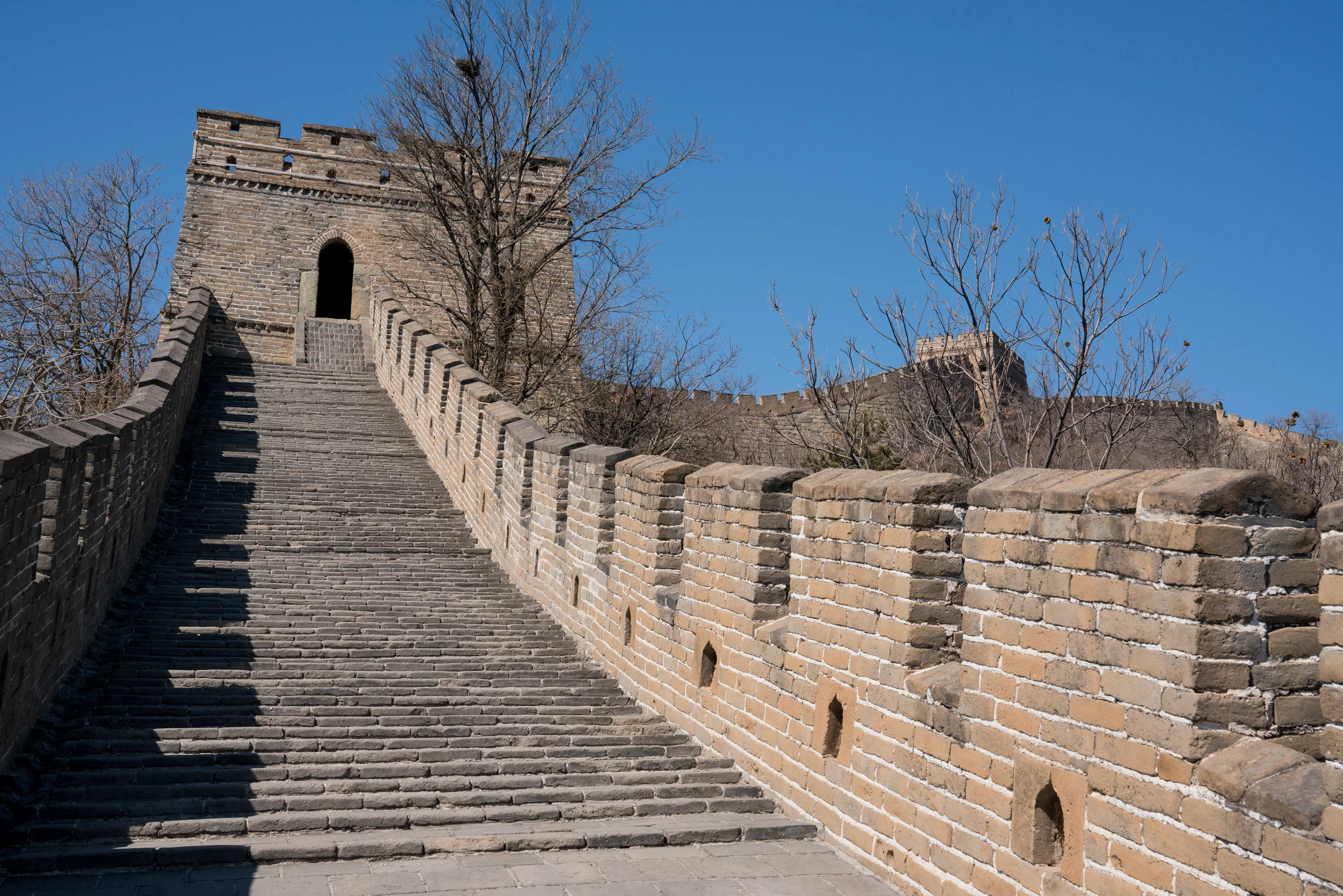 RHoff_China_20170314_10114.jpg