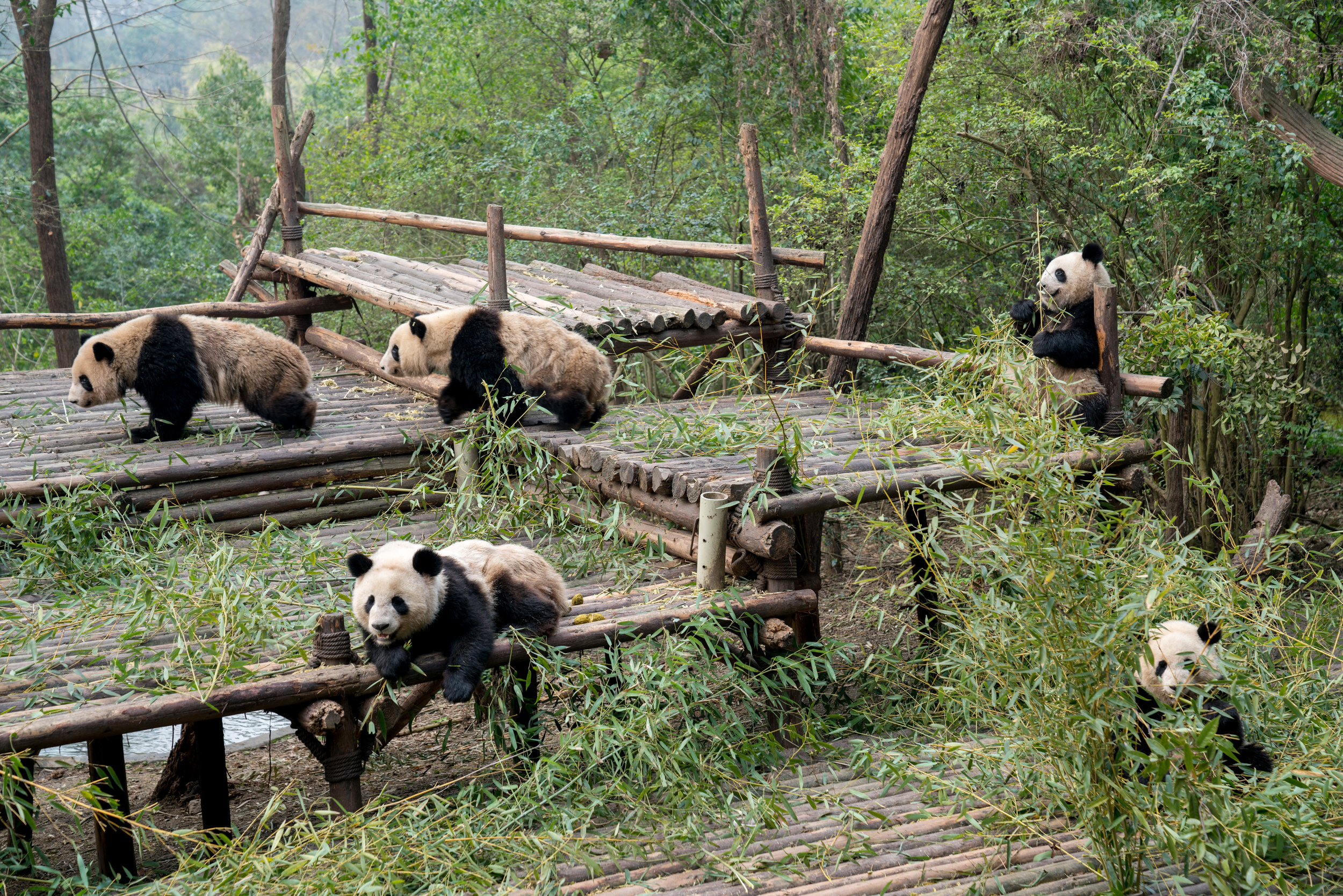 RHoff_China_20170318_11286.jpg