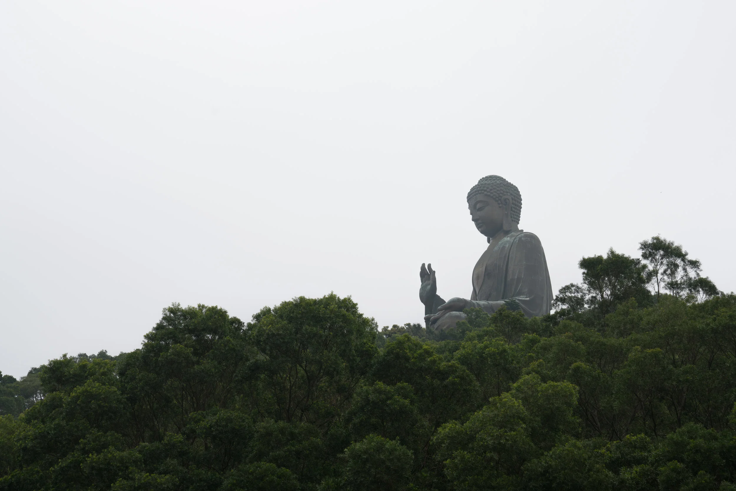 RHoff_China_20170323_11765.jpg
