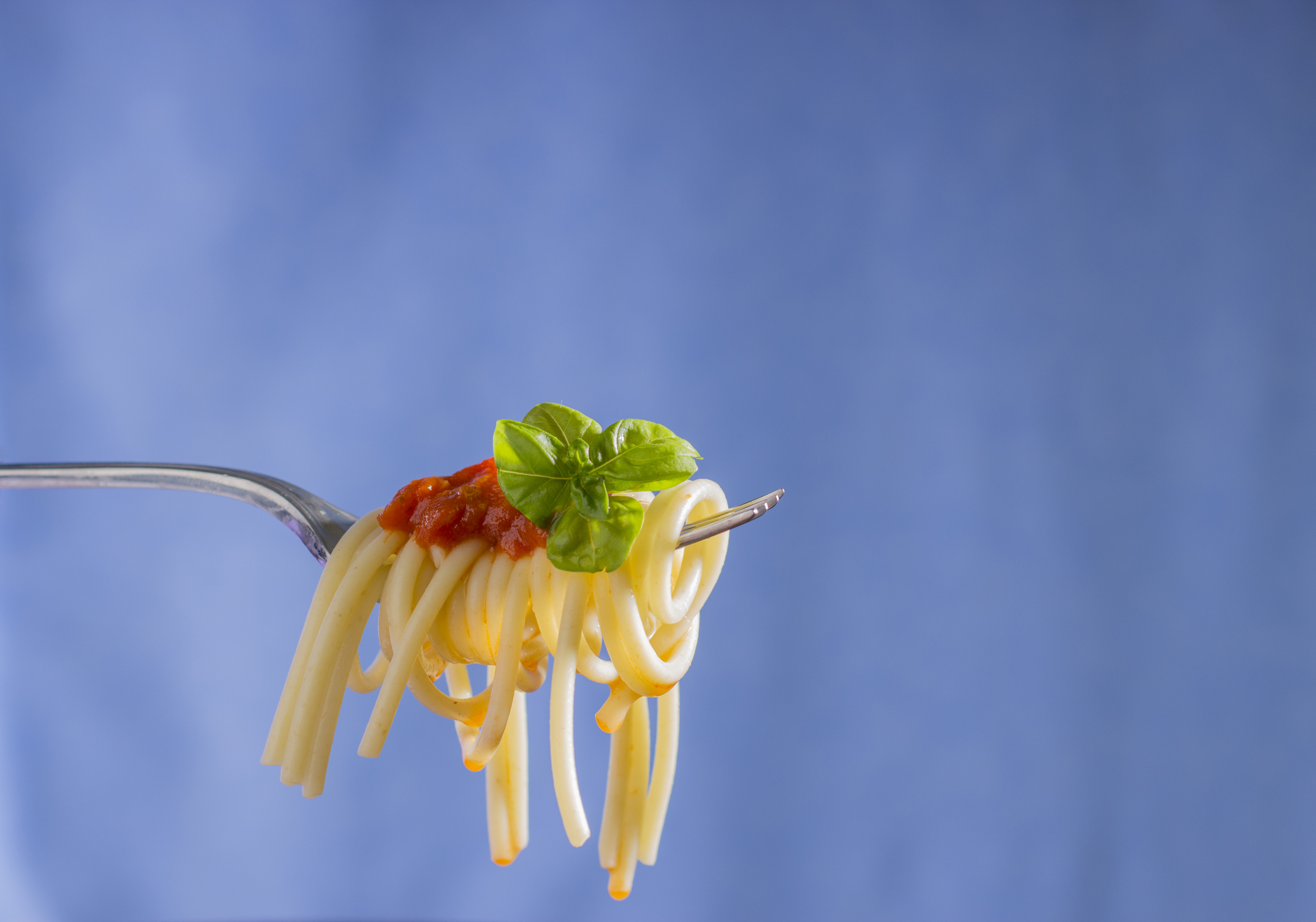 Spaghetti on Fork 