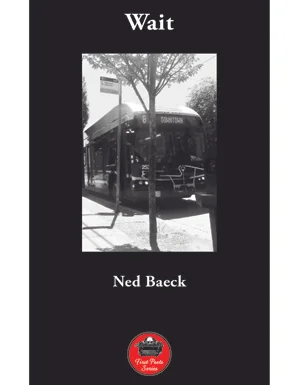 Ned Baeck’s collection Wait