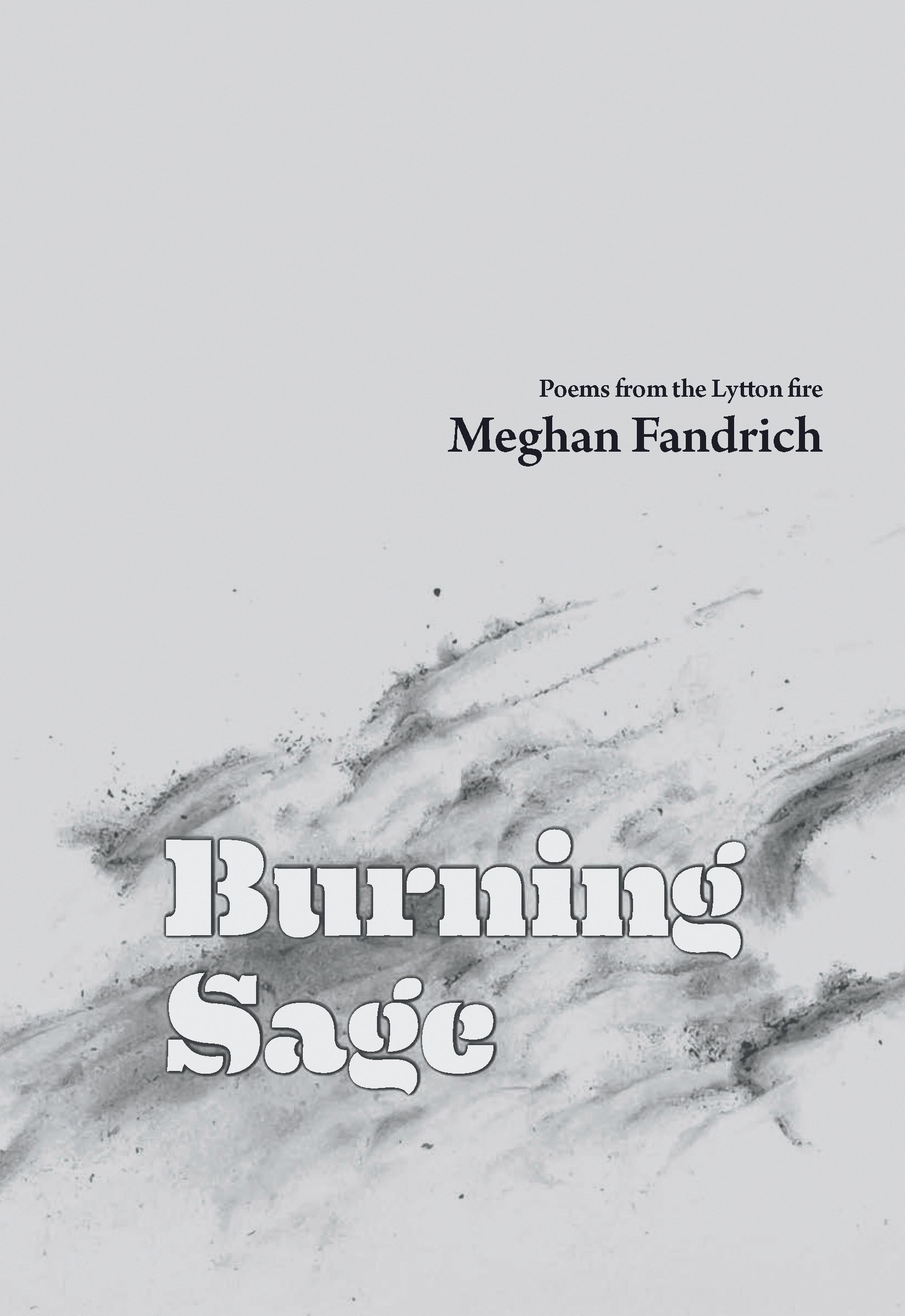 Oct 20 Meghan Fandrich book cover.jpg