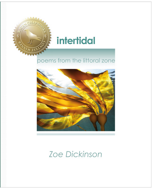 zoe book cover.png