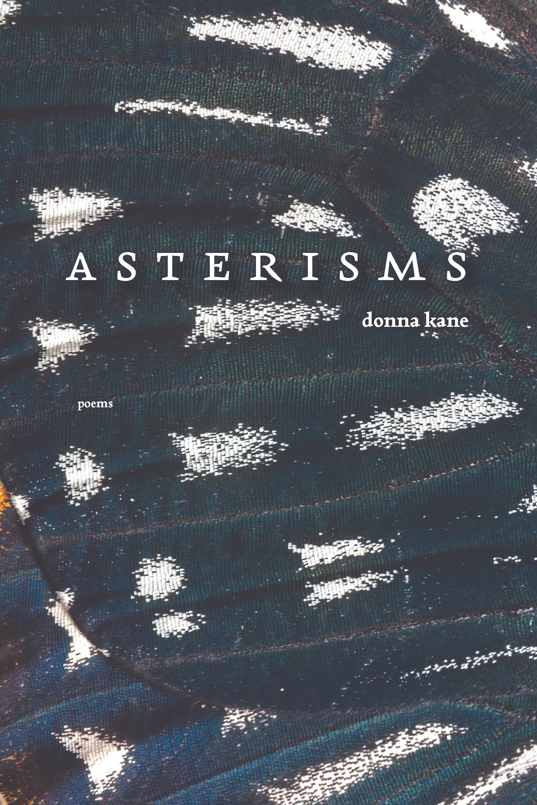 book cover of Asterisms by Donna Kane