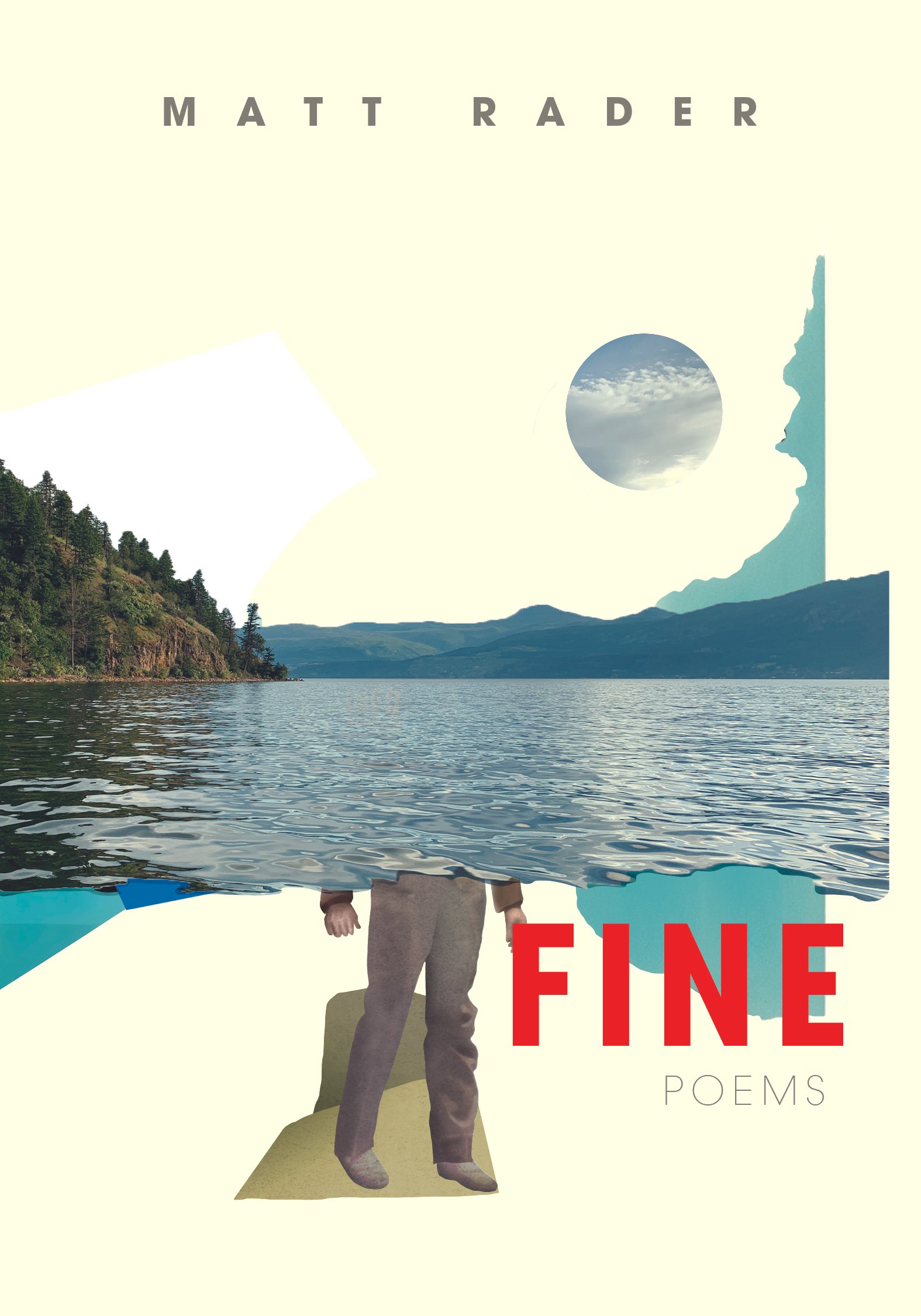 book cover image of Fine by Matt Rader