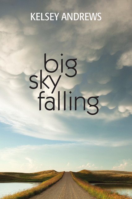 BigSkyFalling_cover.jpeg