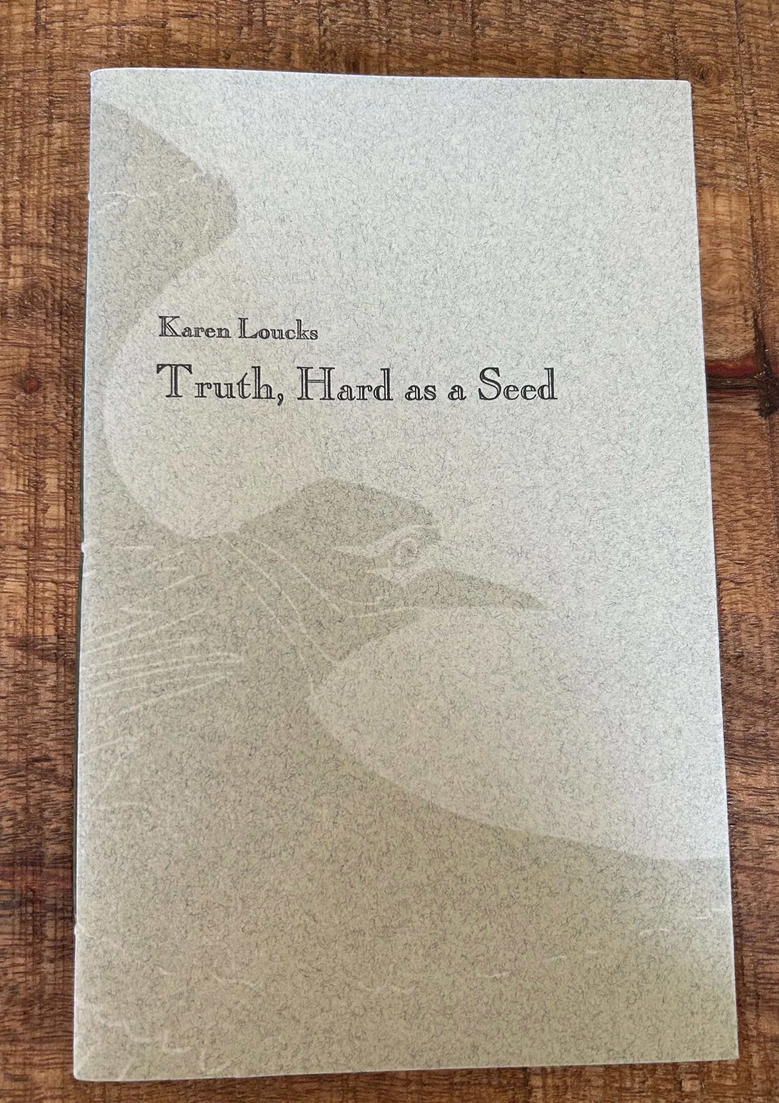 OCT 10TH_KAREN LOUCKS_BOOKCOVER.jpeg