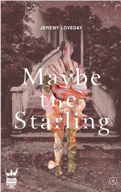 Jan 23rd Jeremy Loveday Bookcover.png