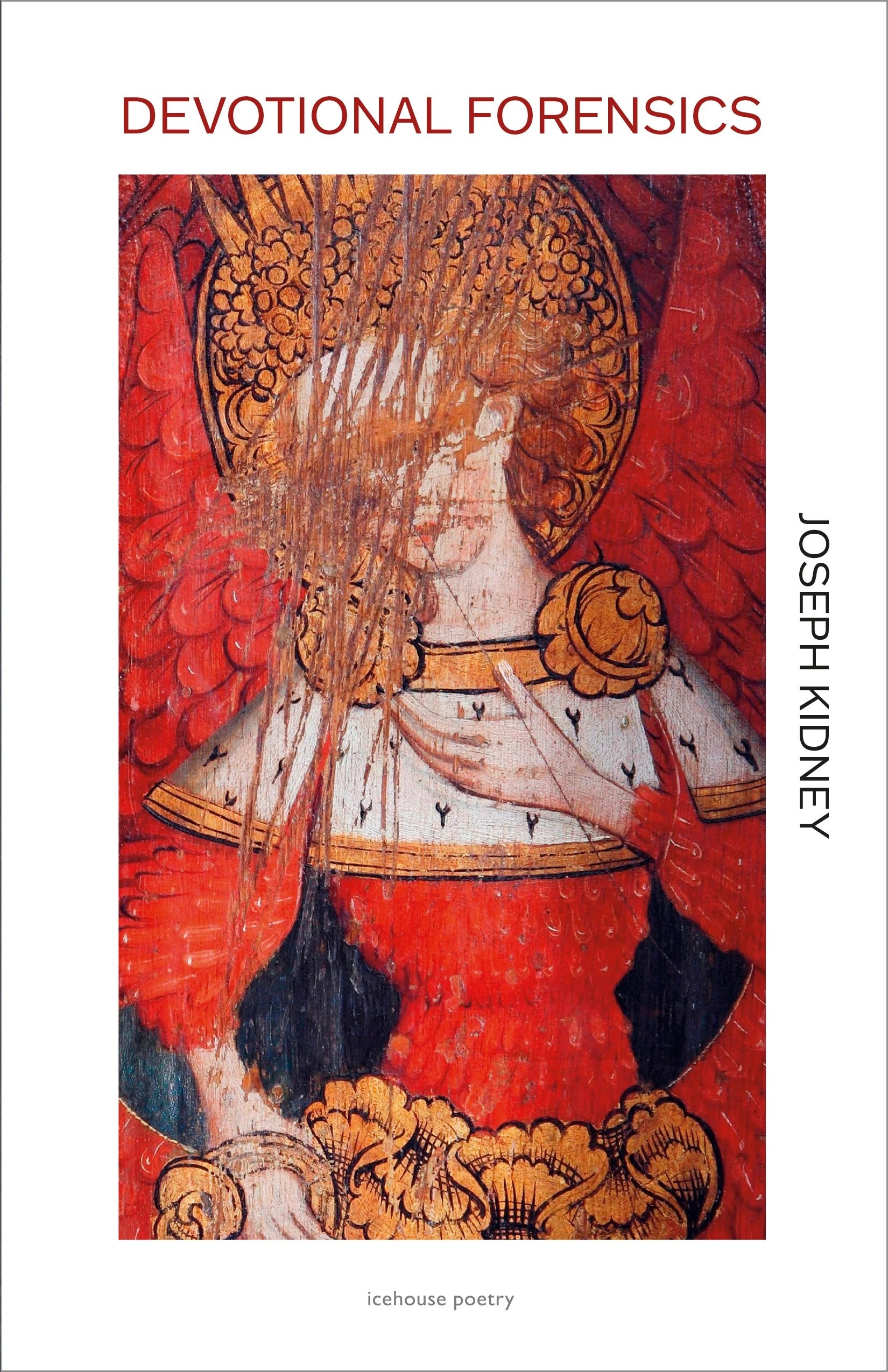 JAN 30TH_Joe Kidney_BOOKCOVER.jpeg