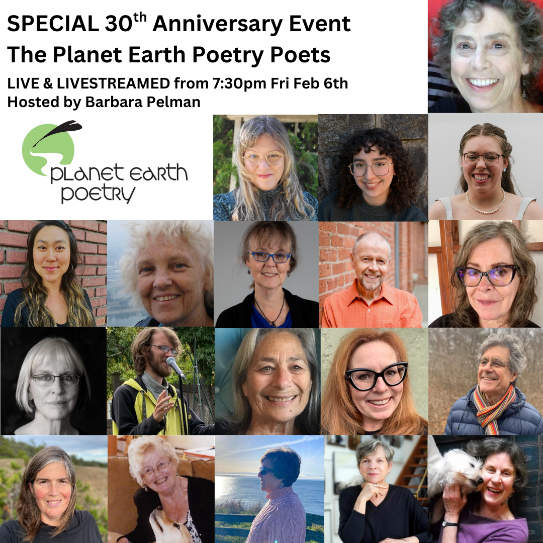 BEES READING (3).png