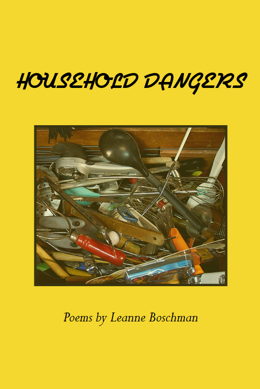 Feb 13 Leanne B Bookcover.png