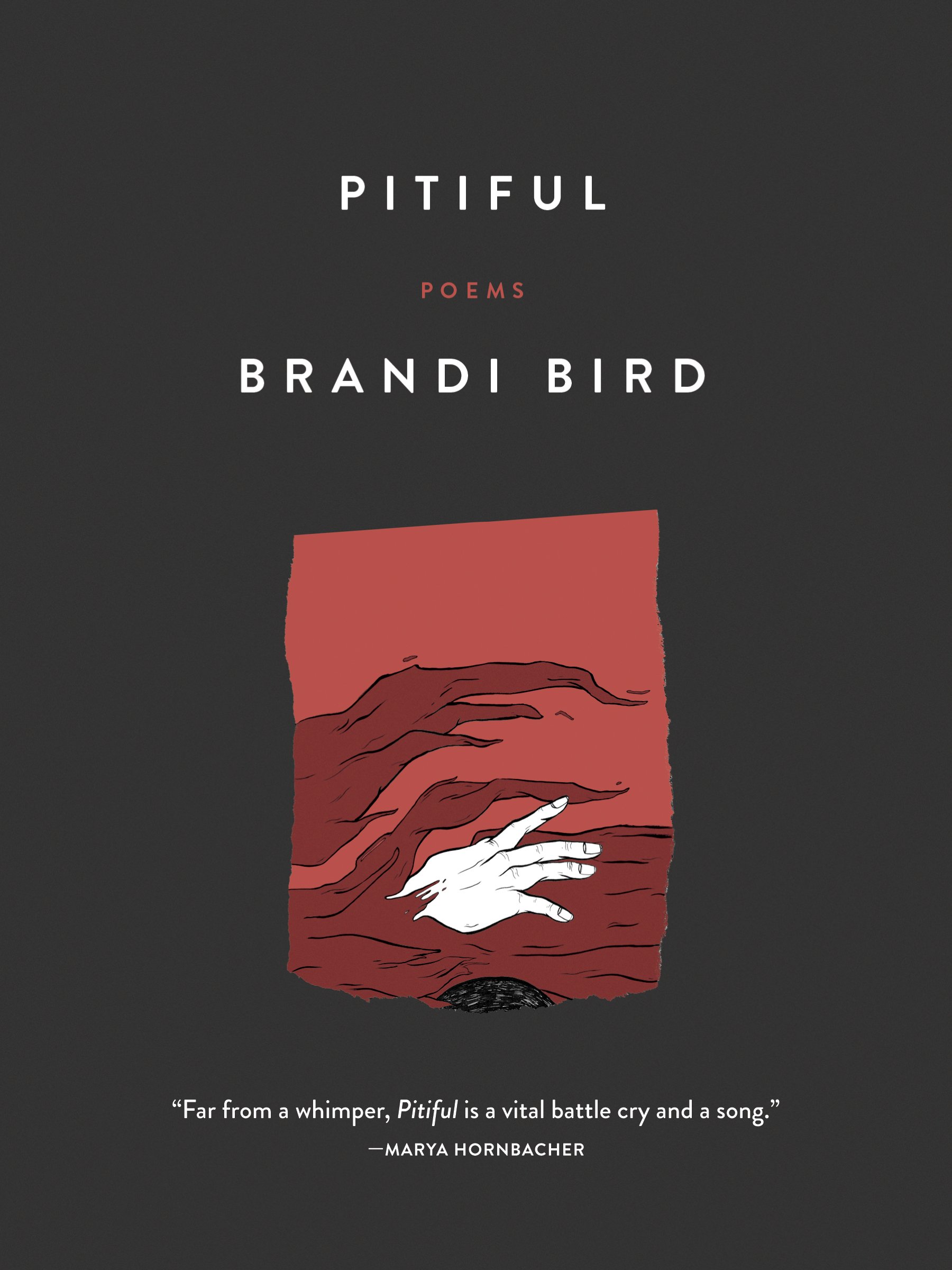 April 17_Brandi Bird_BOOKCOVER.jpg