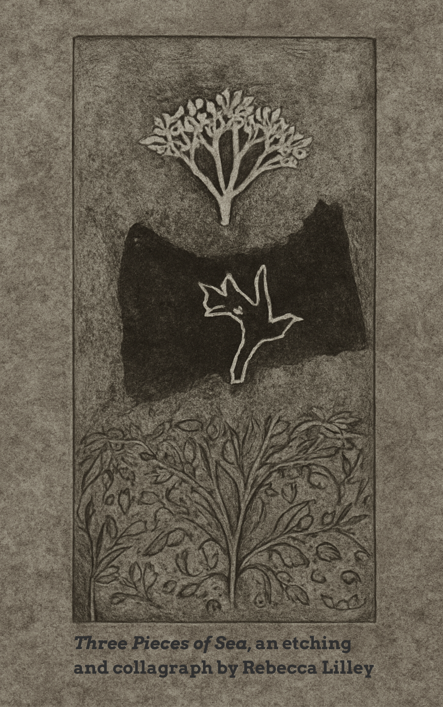 MAY 8th_JOANNA LILLEY_BOOKCOVER.png