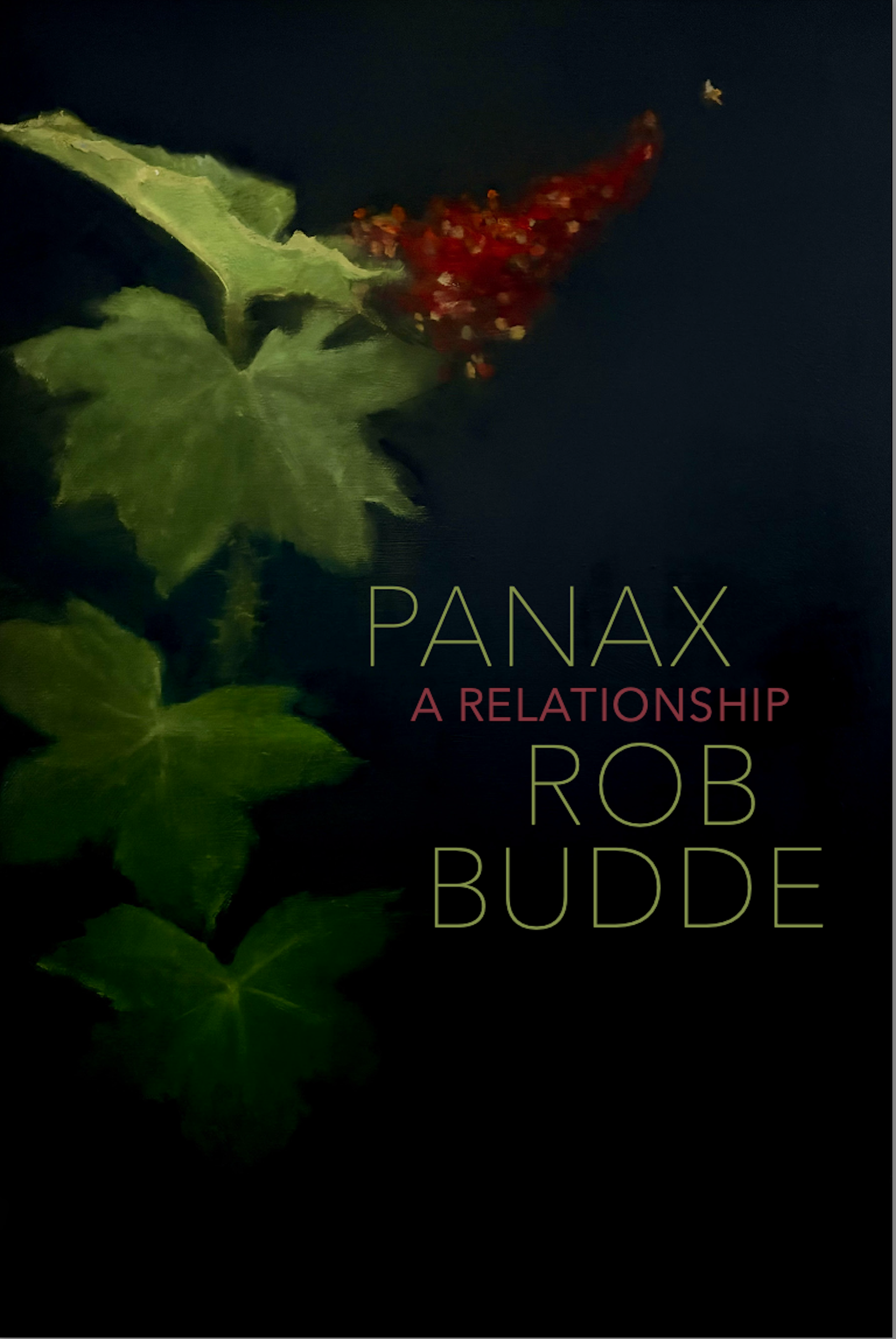 OCT 23_ROB BUDDE_BOOKCOVER (1).png