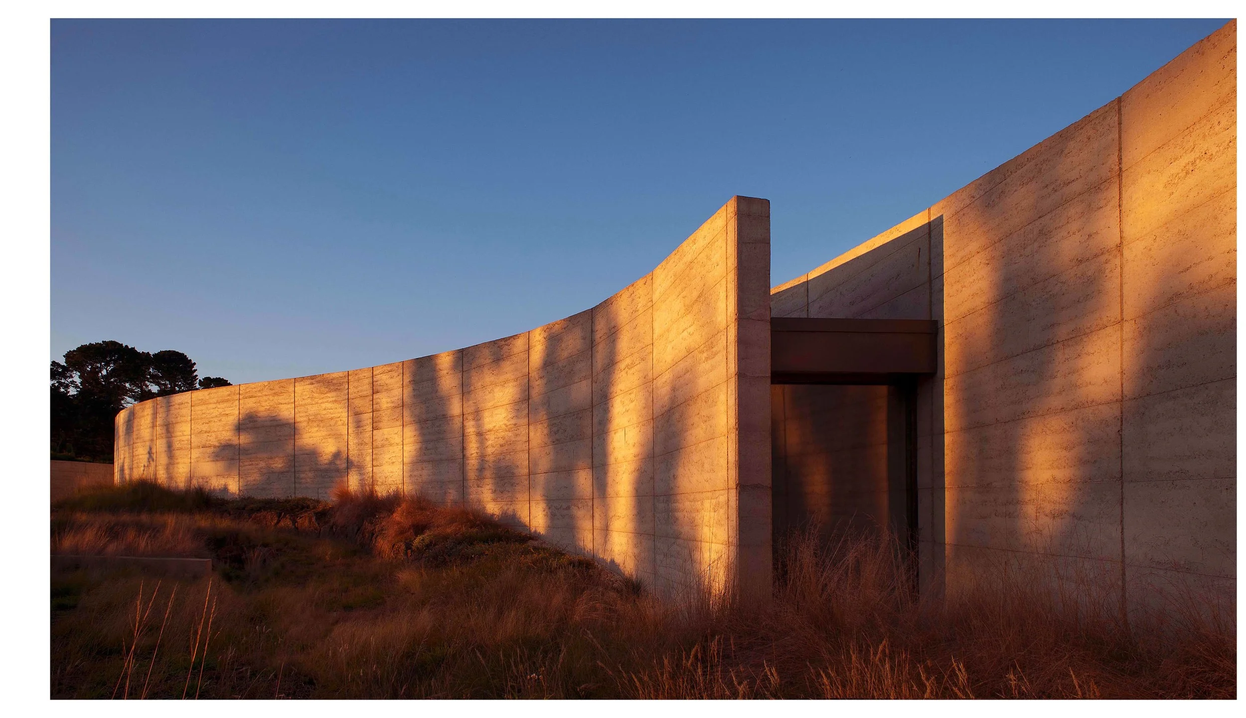 011boarderz copy.jpg