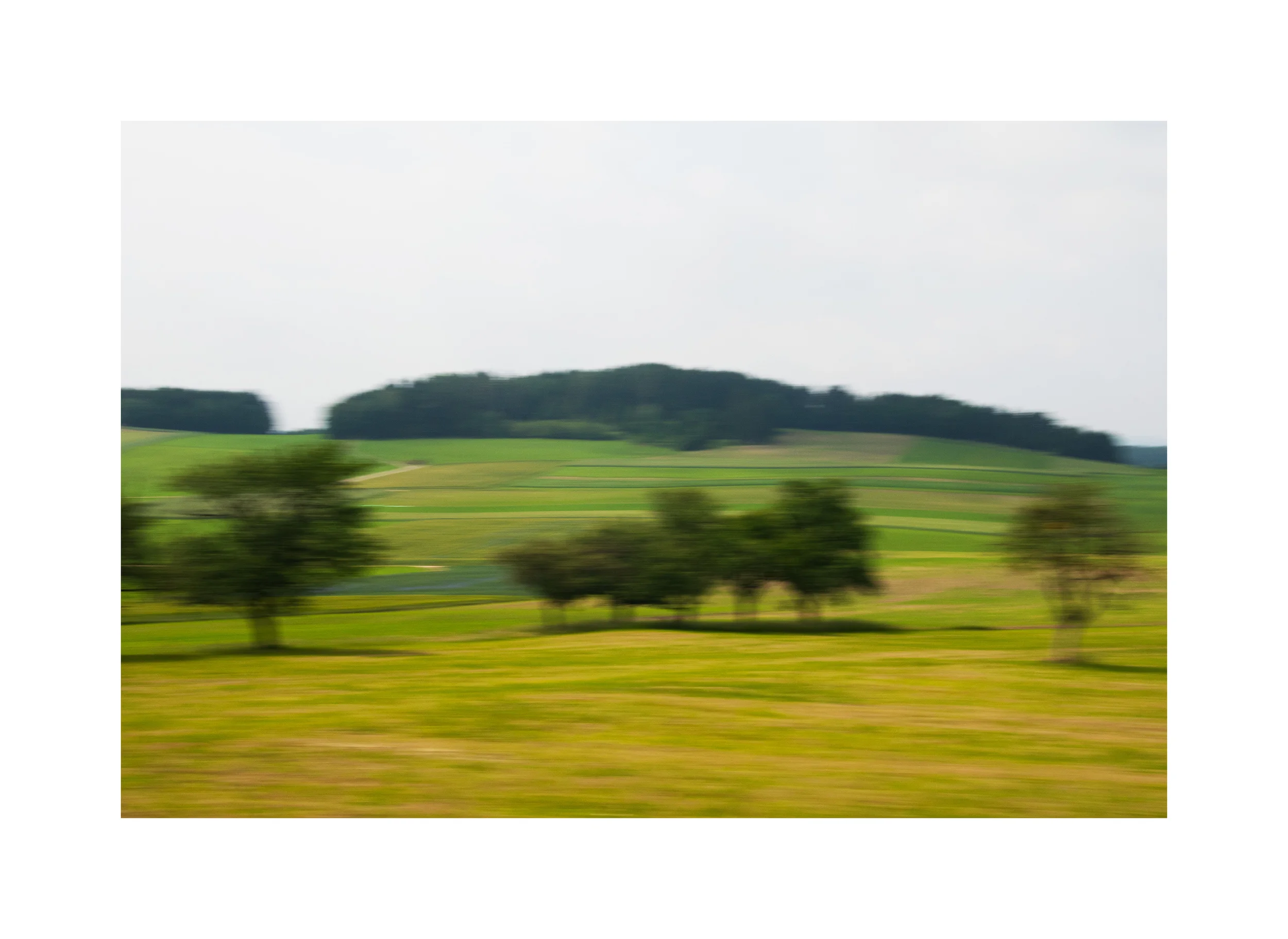 _DSC3996edited.jpg