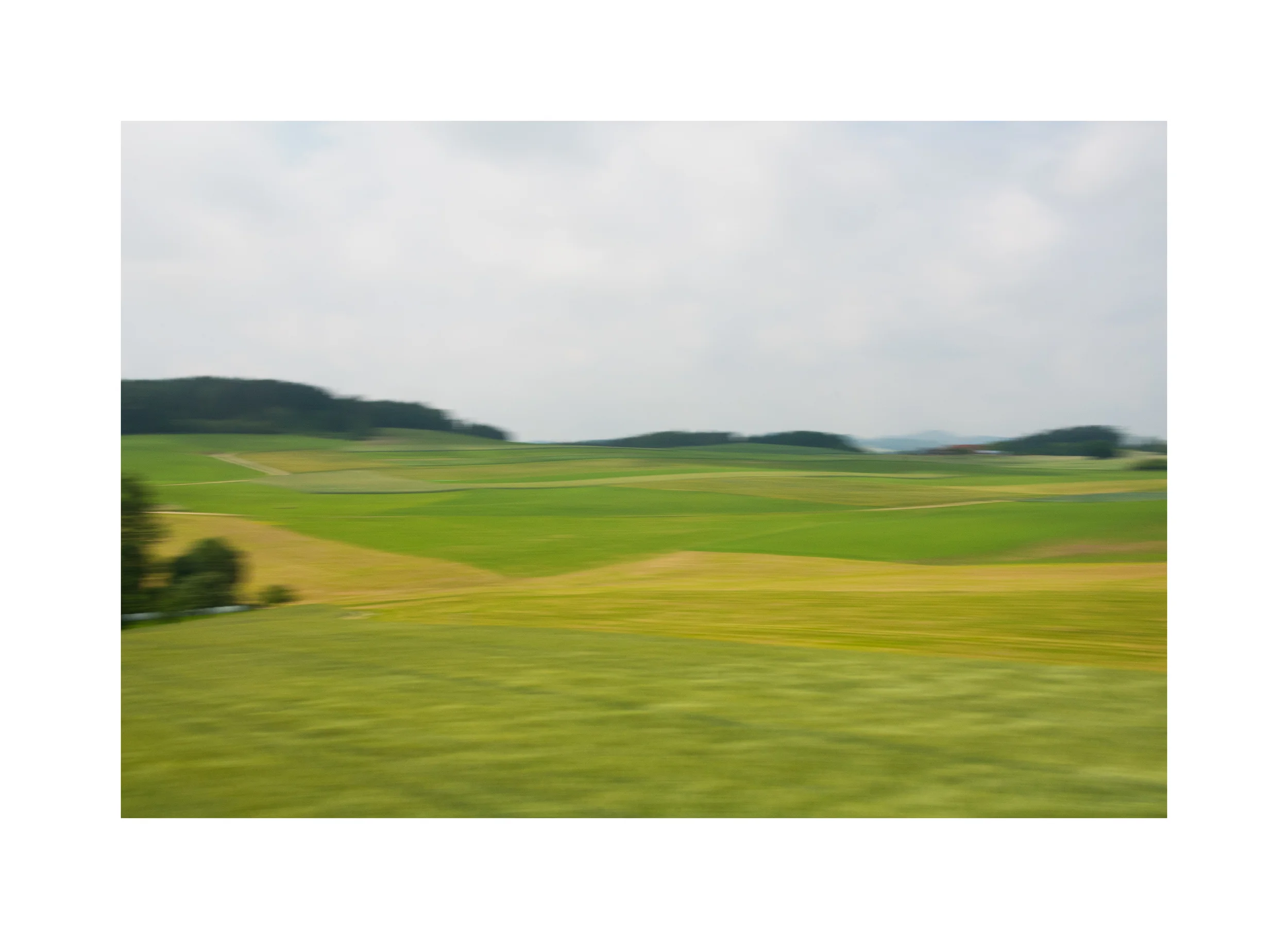 _DSC4003edited.jpg